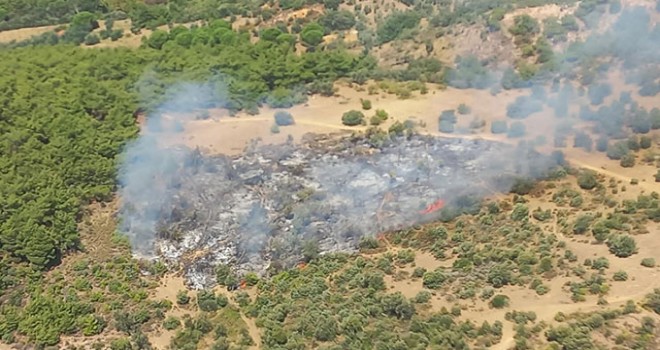 İGC'den Geleceğe Fidan