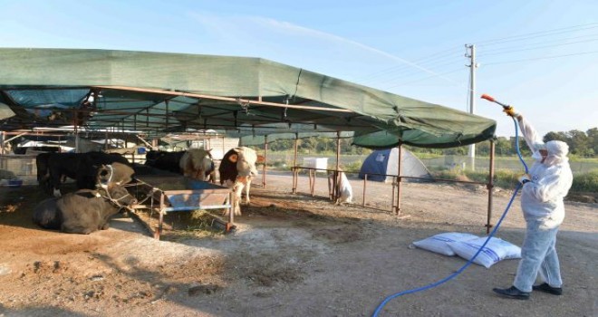 Çiğli Kurban Bayramı'na hazır