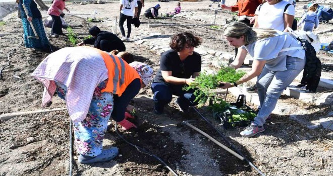 Mahalle Bostanı’nda kış sebzelerinin ekimi başladı