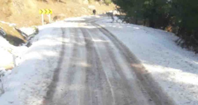 Süt için yollara tuz