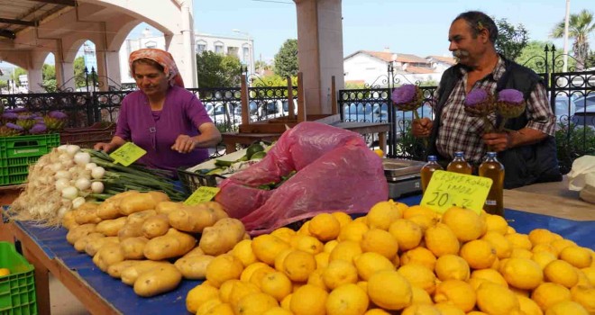 Tarla’dan Sofra’ya Üretici Pazarı açıldı