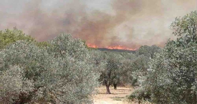 Çeşme'de yangın: Üç mahalle tahliye edildi