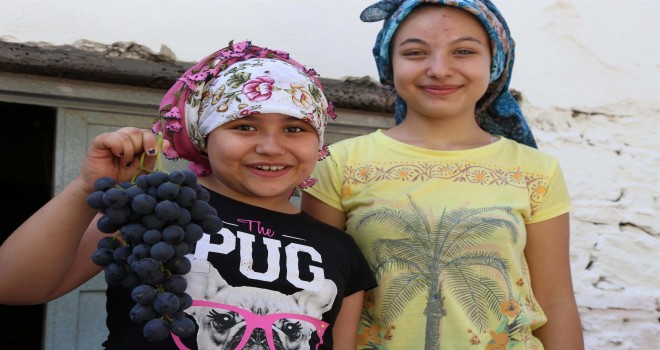 Kavacık Üzümü’nü dünya tanıyacak