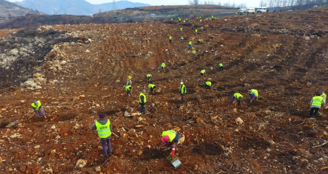 İzmir'de 296 hektar orman alanı yandı 1926 hektar ağaçlandırıldı