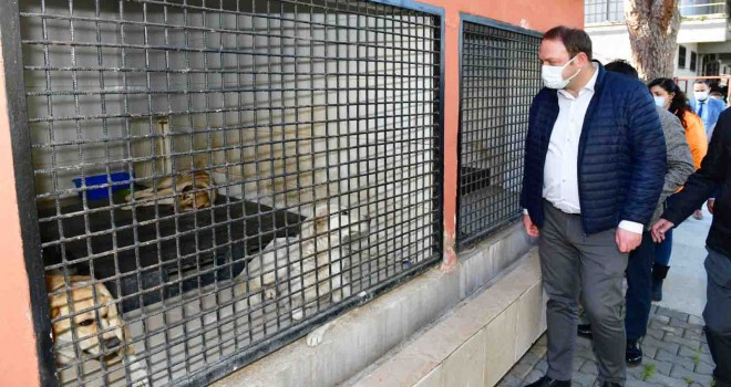 Çiğli Belediyesi ''Sokak Sakinlerini'' kara kışa hazırlıyor