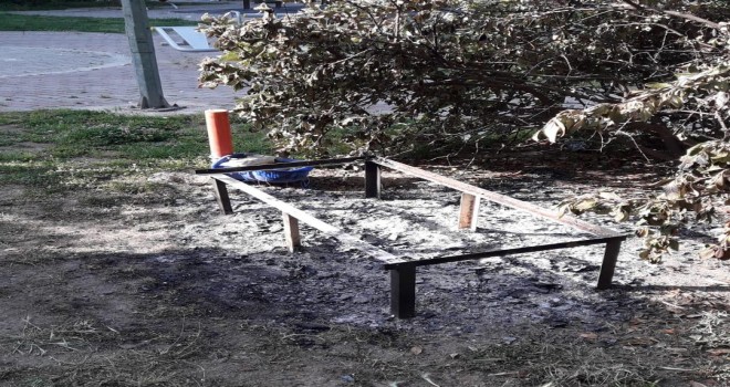 Başkan Tugay'dan kedi vahşetine sert tepki!