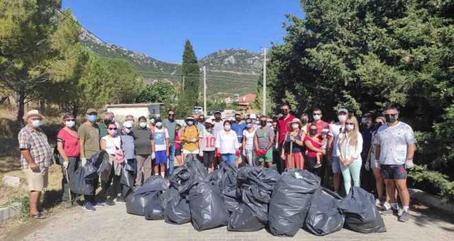 Saip ağaçlık alan tertemiz oldu
