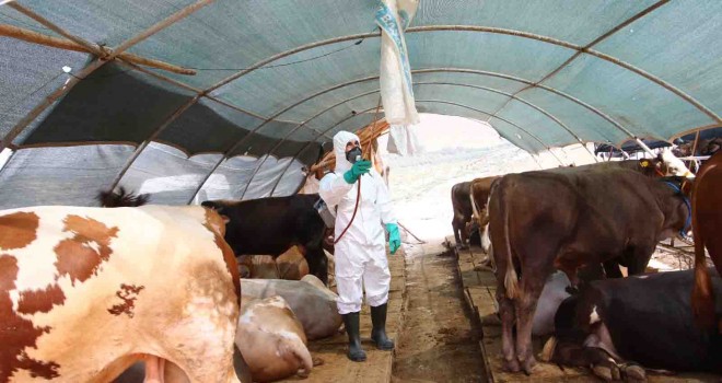 Bayraklı kurban satış yeri hazır