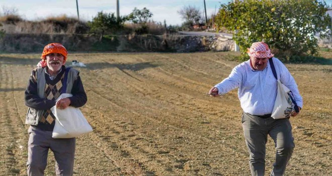 Çeşme Belediyesi’nden bir yerli tohum hamlesi daha