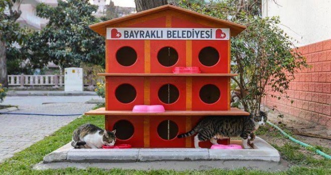 Bayraklı’da kedi evlerinin sayısı 20’ye yükseldi