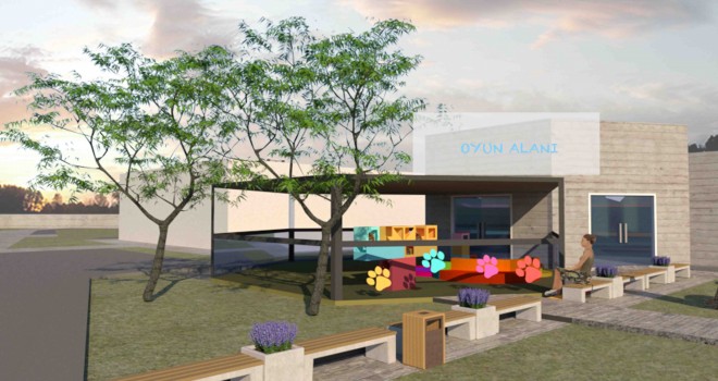 Konak’ın engelli kedi evi  projesine 500 bin TL hibe