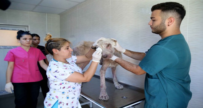 Karşıyaka’da bir ''Direniş'' öyküsü