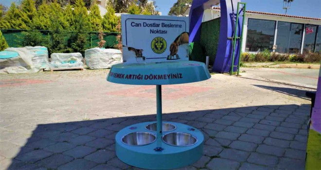 Buca’da sokak hayvanlarına özel önlem