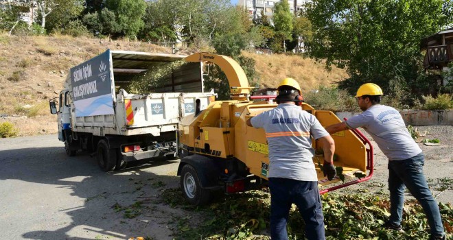 Budanan dallar gübreye dönüşüyor