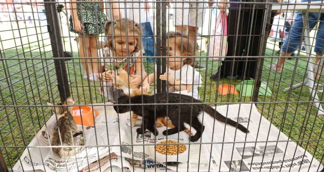 Karşıyaka’da can dostlara sıcak yuva aranıyor
