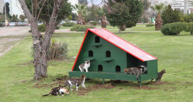 Karşıyaka'da sahipsiz hayvanlar için örnek uygulama