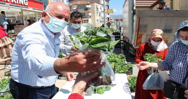 Başkan Karakayalı'dan vatandaşa 50 bin fide desteği