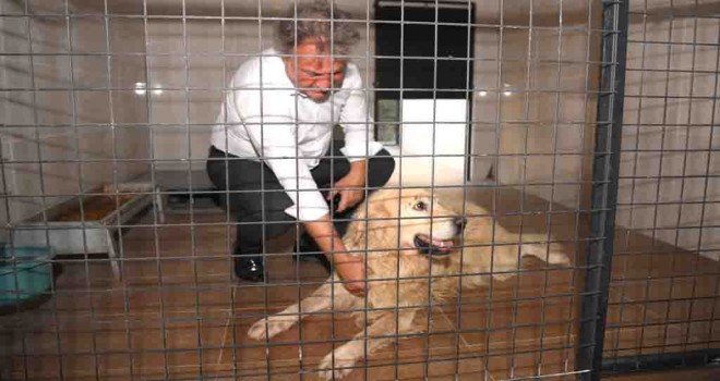 Bornova’da can dostlara yeni klinik