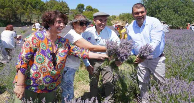 Lavanta filiz aldı mis kokulu festivale dönüştü