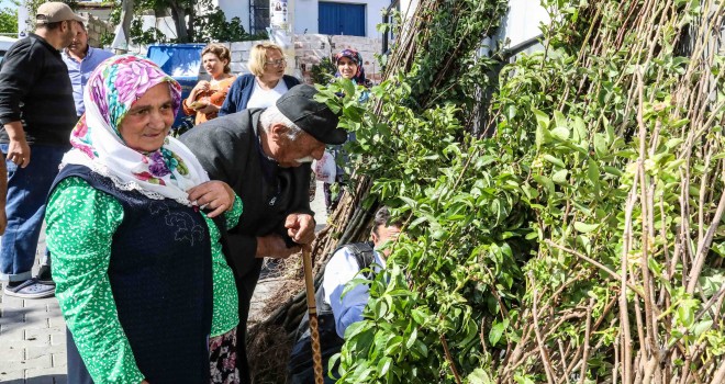 Buca Belediyesi’nden üreticiye fidan desteği