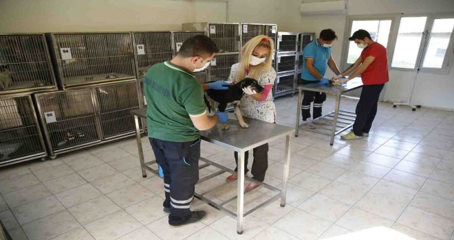 Konak’ta can dostlar güvende