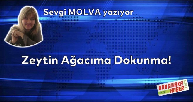 Zeytin Ağacıma Dokunma!