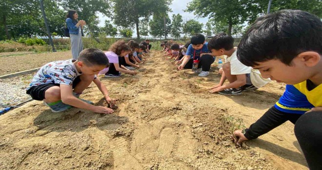 Efes Selçuklu çocuklar fideleri toprakla buluşturuyor