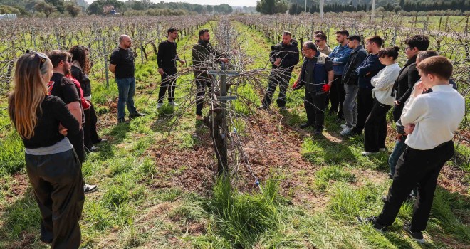Buca Belediyesi’nin üzüm bağı açık hava okuluna dönüştü