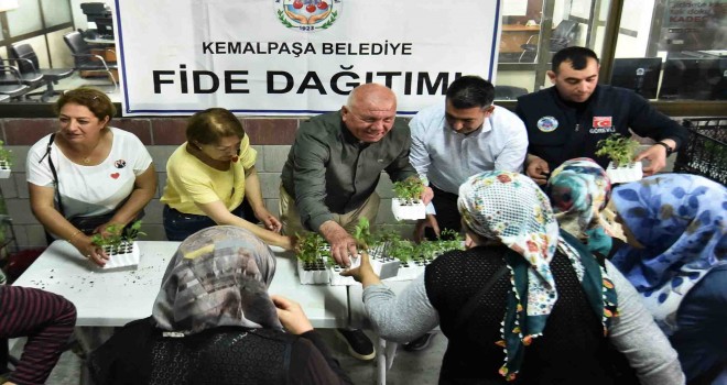 Kemalpaşa'da fideler toprakla buluşuyor