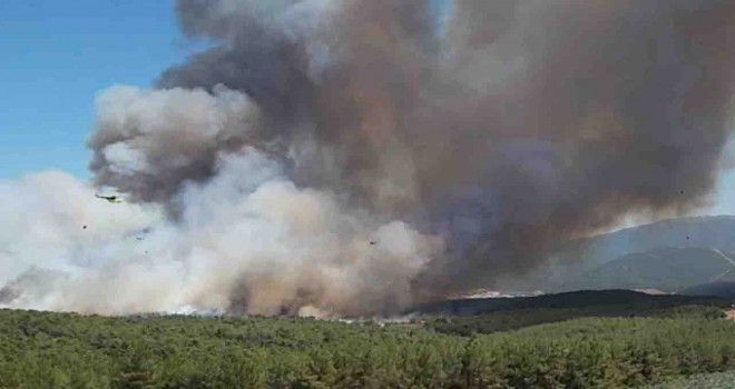 Bakan Yumaklı: Bornova'daki yangın büyük oranda kontrol altına alındı