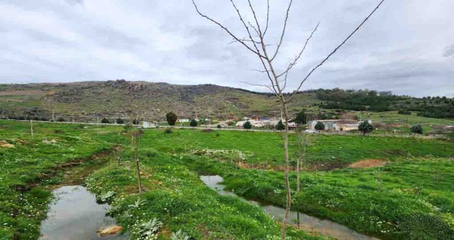 Karşıyaka Kent Ormanı'nda örnek uygulama