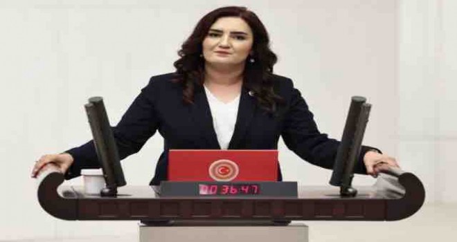 CHP'li Kılıç: Veli kayıp, dosya kısıtlı...