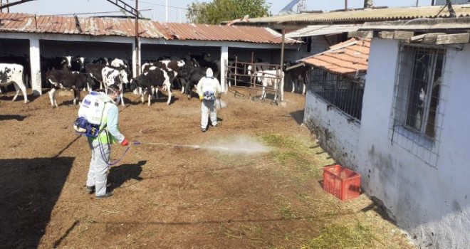 Menemen Belediyesi ekipleri çalışmalarına aralıksız devam ediyor