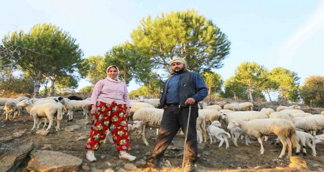 İzmir’in Çoban Haritası çıkarıldı