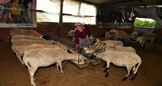 İzmir kırsalında “başka bir tarım” modeli gelişiyor