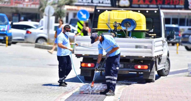 İklim krizi sivrisinek popülasyonunu artırdı