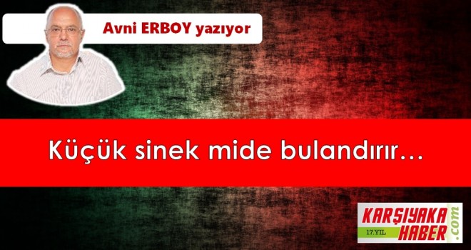 Küçük sinek mide bulandırır…