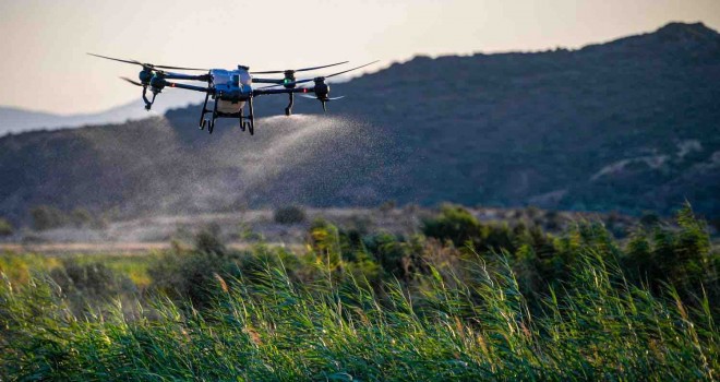 Sivrisinekle havadan ve karadan mücadele sürüyor