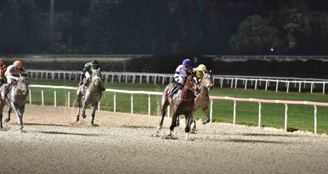 Hüseyin Özsakallı Kupası'nı ''Black Phantom'' kazandı