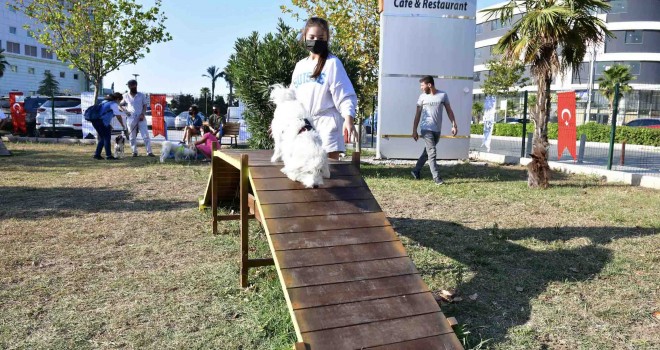 Pati Dostları Festivali Çiğli’de 4. kez kapılarını açtı