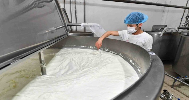 İzmir’de süt üreticisi nefes almaya başladı