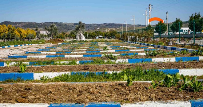 Seferihisar’da Dünya Çiftçiler Günü’nde Tohum Takas Şenliği