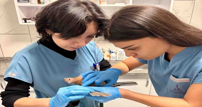 İzmir Büyükşehir ekiplerinden yürekleri ısıtan kurtarma