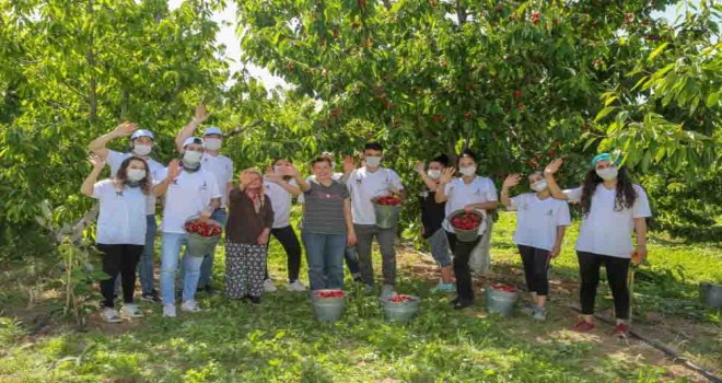 Üretici de gönüllü de memnun