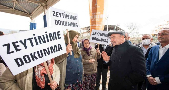 Soyer: Zeytin ağaçlarının yok edilmesi asla kabul edilemez