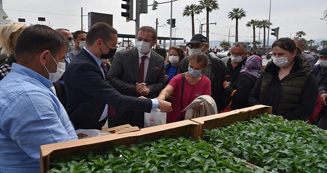Karşıyakalı kadınlara 10 bin adet yerli malı fide…
