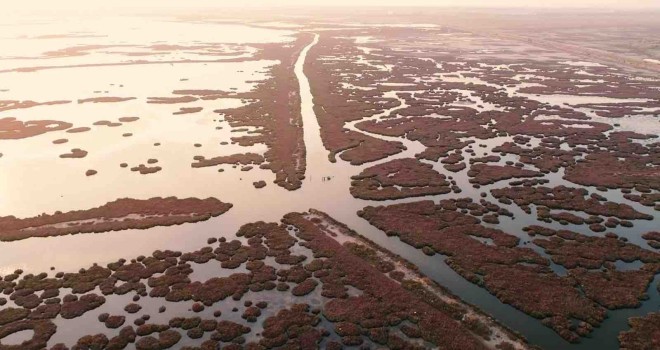 Gediz Nehri mercek altında