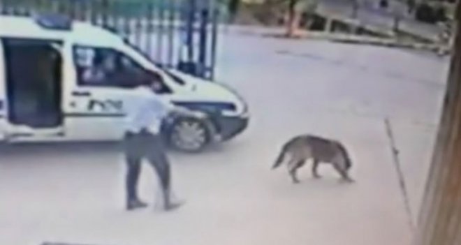 Açığa alınan komiser yardımcısının çarptığı kadın öldü