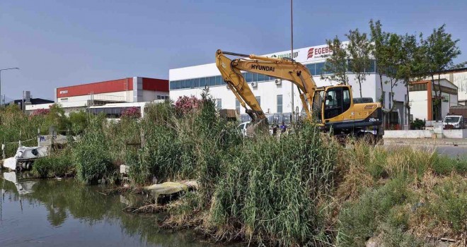 Çiğli Belediyesi’nden kaçak barınak ve iskele operasyonu