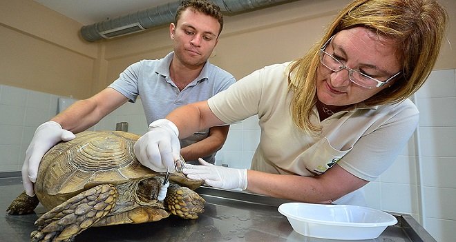 AFYON'DA İŞKENCE GÖRDÜ, İZMİR'DE ŞİFA BULDU...